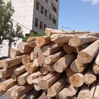 خرید انواع درخت چوب سقفی کهنه از باغچه وحیاط|خدمات باغبانی و درختکاری|تبریز, |دیوار