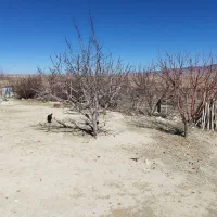 کارگر برای دس چاه زدن