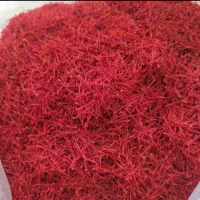 توضیع‌گل‌زعفران