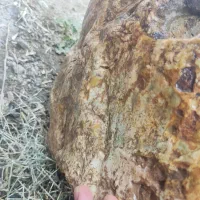 س.نگ فیروزه