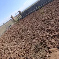 باغچه فروشی|فروش زمین و ملک کلنگی|نیشابور, مازول|دیوار