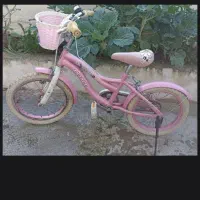 دوچرخه کاملا سالم بدون پوسیدگی