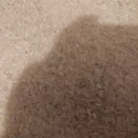 برنج محلی به شرط پخت اصل کامفیروز|خوردنی و آشامیدنی|مرودشت, تامین اجتماعی‎|دیوار