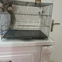 قفس پرنده