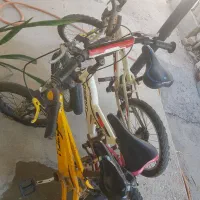 ۳تا دوچرخه باهم