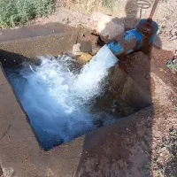 زمین باغی وزوان پشته دانشگاه پیام نور وزوان|فروش زمین و ملک کلنگی|میمه, |دیوار