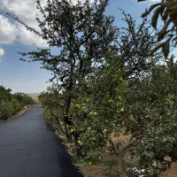 285 متر باغ شهرکی درجابان|فروش زمین و ملک کلنگی|تهران, افسریه جنوبی|دیوار