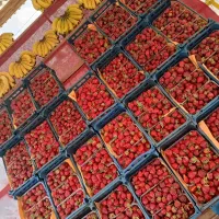 کار کنار خیابان تابلو داری
