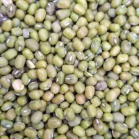 ۶ تن ماش عمرانی درجه یک بوجاری شده امسال