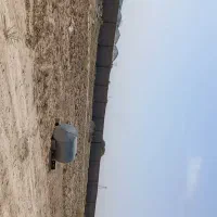 زمین فروشی میامی|فروش زمین و ملک کلنگی|رضویه, |دیوار