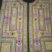 زیاستین مجلسی