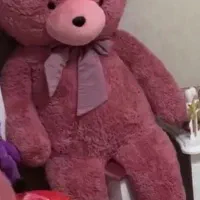 خرس ولنتاین ۲ متری