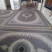 قالی فروشی مرودشت|فرش|مرودشت, ابوذر جنوبی|دیوار