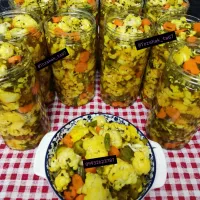 ترشیجات خانگی