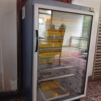 دستگاه جوجه کشی