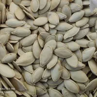 لوبیا چیتی و تخمه کدو سیب زمینی هم موجود می باشد.|خوردنی و آشامیدنی|سده (فارس), |دیوار