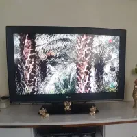 تلویزیون۳۲ ال جی|تلویزیون و پروژکتور|قدس, شهر‌قدس|دیوار