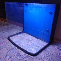 اکواریوم وسهره  کفتر