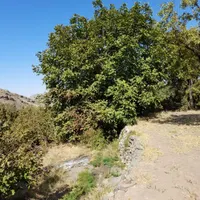 باغ فندق روستای وشنوه|فروش زمین و ملک کلنگی|قم, انسجام|دیوار