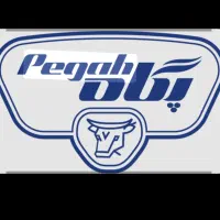 ویزیتور (فروشنده لبنیات)