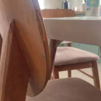 صندلی|میز و صندلی غذاخوری|تهران, شهرک دریا|دیوار