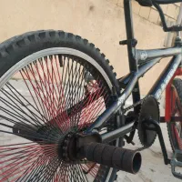 دوچرخه سایز ۲۰ حرفه ای|دوچرخه، اسکیت، اسکوتر|شاهین‌شهر, گرگاب|دیوار