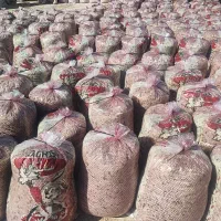 فروش تفاله تر چغندر بسته بندی وفله عمده وخورده