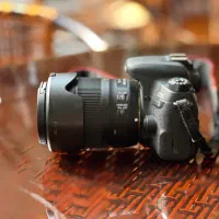 دوربین Canon 77D + لنز Canon EF-S 18-135 IS USM|دوربین عکاسی و فیلمبرداری|رشت, کاکتوس|دیوار