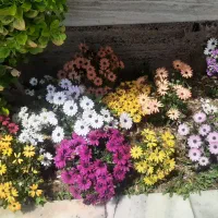 باغشهر-تلاش