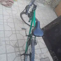 دوچرخ تروتمیز موشلندار