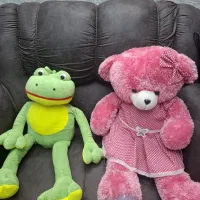 تعداد زیادی  عروسک سالم و تمیز