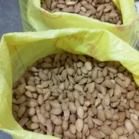 بادام تازه