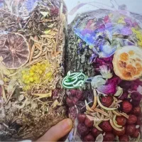 ویزیتور میدانی