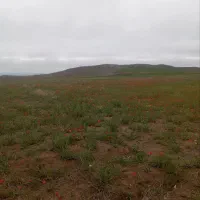 زمین-کشاورزی