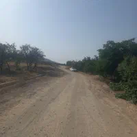 1050متر باغ آجیلی عالی نزدیک آسفالت|فروش دفتر صنعتی، کشاورزی، تجاری|سامان, |دیوار