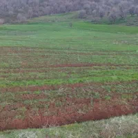 زمین خام سر جاده اصلی 3 طرف باز|فروش زمین و ملک کلنگی|آرمرده, |دیوار