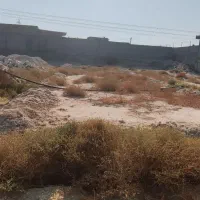 زمین دهقاید.بامصالح.برق.آب|فروش زمین و ملک کلنگی|برازجان, |دیوار