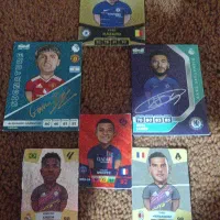 کیمدی 6 تا در شهرستان میناب