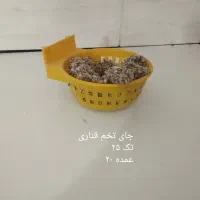 لوازم جانبی کفتر قناری طوطی عروس مرغ عشق تک و عمده|لوازم جانبی حیوانات|الوند, |دیوار