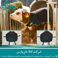 راننده تراکتور خوراک ریزی در گاوداری