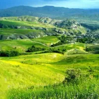 استخدام نیروی خانه داری و رزپشن خانم و نگهبان آقا