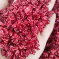 زعفران و زرشک درجه یک کاملا ارگانیک|خوردنی و آشامیدنی|آمل, |دیوار