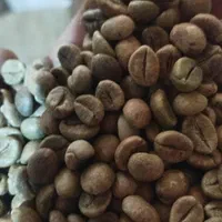 فروش انواع دان قهوه با رست شماونسکافه گلد و کلاسیک