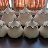 سرویس پاسماوری