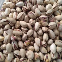 پسته رفسنجان، فندقی و احمدآقایی، فقط شور سنتی