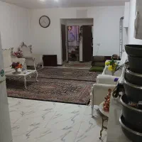 راننده|فعالیت داوطلبانه|پاکدشت, حصار امیر|دیوار