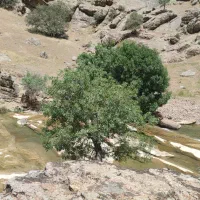 راهنمایی کنید
