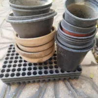 گلدان خالی|گل و گیاه طبیعی|شاهرود, |دیوار