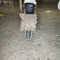 کود مرغی گوشت اهواز حمیدیه