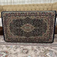 پشتی ریز ماهی